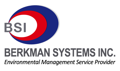 BSI Logo